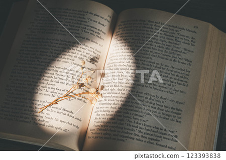 A book with sunlight coming through a window, a magnifying glass and dried flowers 123393838