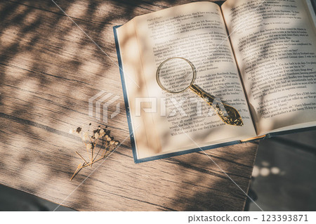 一本書，陽光透過窗戶，放大鏡和乾燥花 123393871