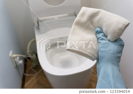 Cleaning the toilet 123394054