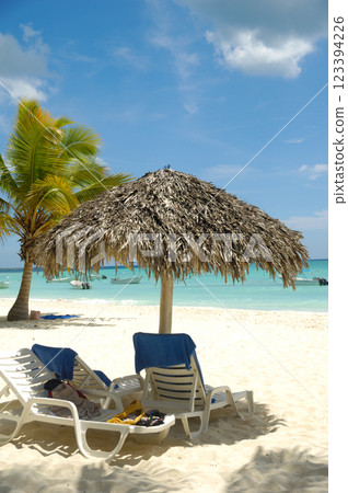 Tropical beach. The Dominican Republic, Saona Island 123394226