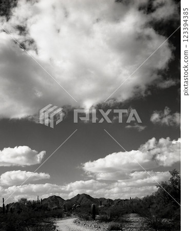 San Tan Mountains Sonora Desert Arizona in Monochrome San Tan Mountains Sonora Desert Arizona in Monochrome 123394385
