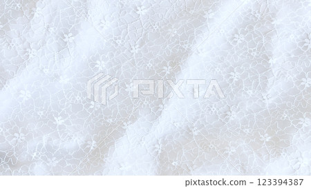 花卉蕾絲布料背景_灰白色_寬 123394387