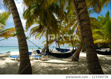 Hammocks Tropical beach. The Dominican Republic, Saona Island Hammocks Tropical beach. The Dominican Republic, Saona Island 123394736