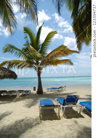 Tropical beach. The Dominican Republic, Saona Island Tropical beach. The Dominican Republic, Saona Island 123394737