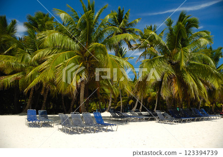 Tropical beach. The Dominican Republic, Saona Island 123394739