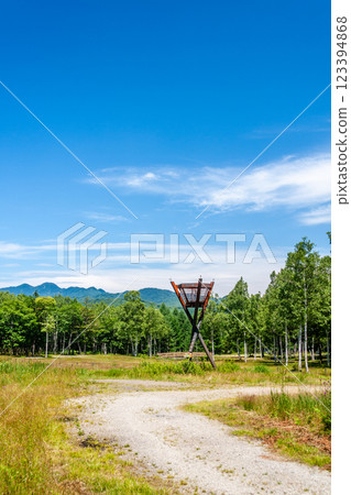 飛鎢高山、飛和田高原的夏季風景,七月 飛鎢高山、飛和田高原的夏季風景,七月 123394868