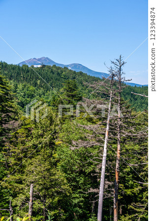飛鎢高山、飛和田高原的夏季風景，七月 123394874