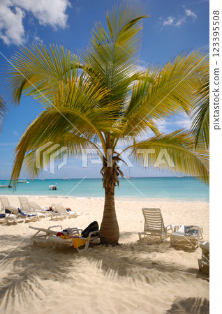 Palm on tropical beach Palm on tropical beach 123395508