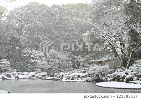A magnificent view of the pond and snowstorm in the shrine gardens (Heian Shrine) 123395517