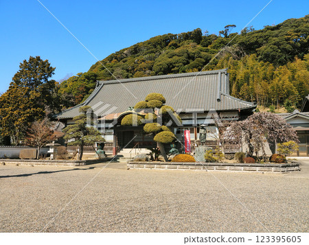 瞳山青蓮寺(君津市) 瞳山青蓮寺(君津市) 123395605