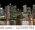 新加坡夜視圖 123395784