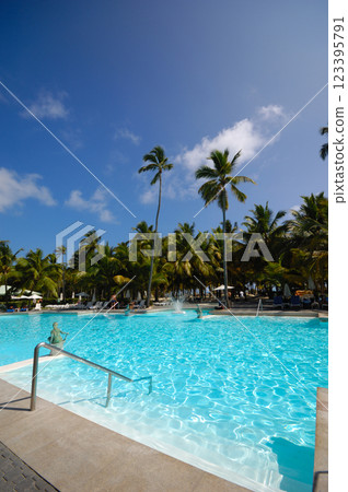 Swimming pool with palm trees 123395791