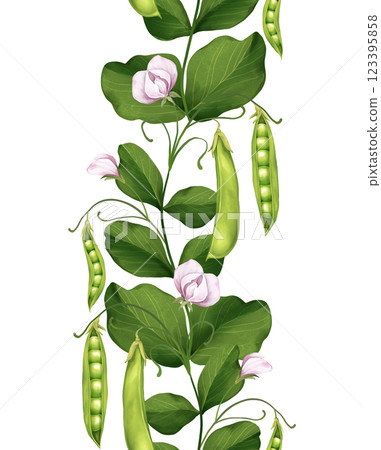 Green peas seamless border with pods and leaves. Hand-drawn illustration Green peas seamless border with pods and leaves. Hand-drawn illustration 123395858