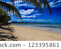 棕櫚樹和藍色大海的度假勝地 123395861