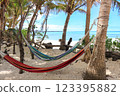 海灘上的吊床 123395882