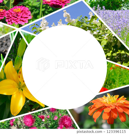 Colorful collage of flowers garden. Free space for text. Colorful collage of flowers garden. Free space for text. 123396115