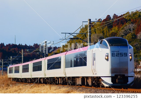 E259系列潮騷特快列車途經千葉 123396255