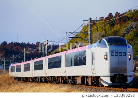 日向與鳴門之間高速行駛的E259系潮騷特快列車 123396258