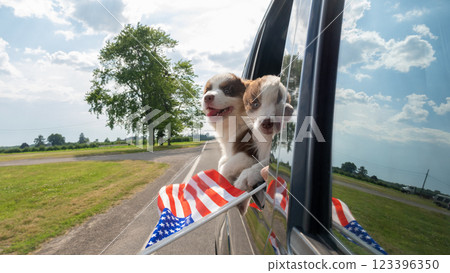 Two playful puppies leaning out of a car window with American flags, enjoying a road trip on a sunny day. Two playful puppies leaning out of a car window with American flags, enjoying a road trip on a sunny day. 123396350
