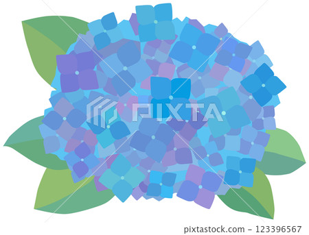 Blue hydrangea illustration vector material Blue hydrangea illustration vector material 123396567