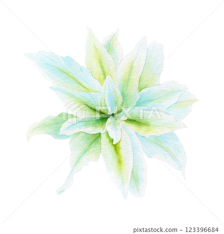 White lily flower watercolor illustration isolated on white. High quality clip art perfect for cards, posters, stickers, Easter, Passover, Holy Thursday, christening baptism wedding church decor White lily flower watercolor illustration isolated on white. High quality clip art perfect for cards, posters, stickers, Easter, Passover, Holy Thursday, christening baptism wedding church decor 123396684