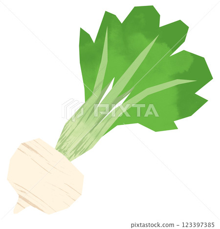 Paper-cut turnip 123397385