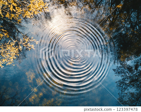 A bird's-eye view of ripples on a pond surrounded by forest 123397478