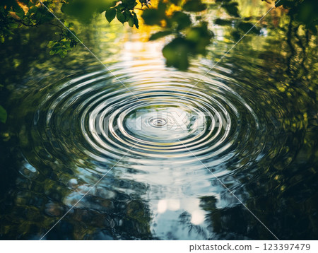 Ripples on a forested pond at golden hour 123397479