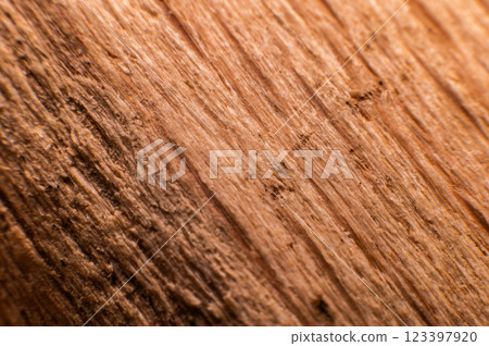 Wood structure. Cross-section of a log showing the pattern and texture created over the years Wood structure. Cross-section of a log showing the pattern and texture created over the years 123397920