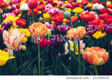 Blooming flowers. 123398102