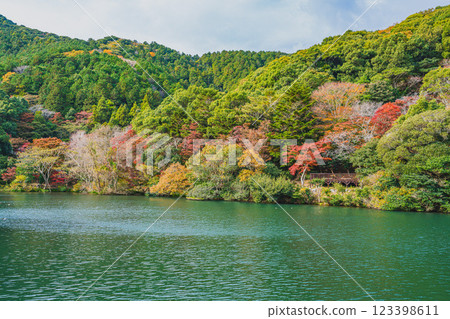 田原市滝頭公園的山與池塘的紅葉（愛知縣） 123398611