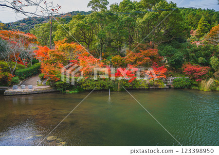 Autumn foliage of the mountains and pond at Takigashira Park in Tahara City (Aichi Prefecture) Autumn foliage of the mountains and pond at Takigashira Park in Tahara City (Aichi Prefecture) 123398950