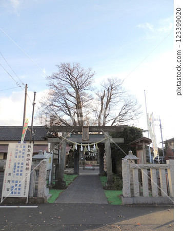 熊野神社 小平市 123399020