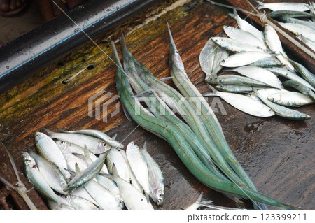 Fresh fish catching from sea and selling at puri sea beach Fresh fish catching from sea and selling at puri sea beach 123399211