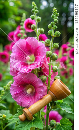 pink flowers in the garden 123399367