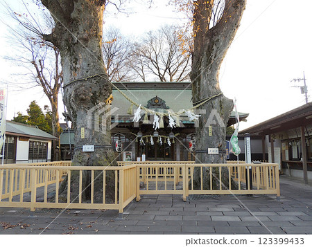Kumano Shrine Kodaira City 123399433