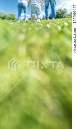 Rear view of a family walking with a toddler 123399465