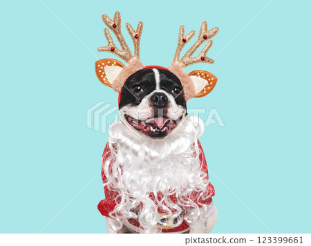 Merry Christmas and Happy New Year. Cute puppy 123399661