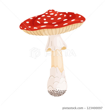 Fly agaric mushroom. Hand drawn trendy flat style Poisonous toadstool Amanita Muscaria 123400097