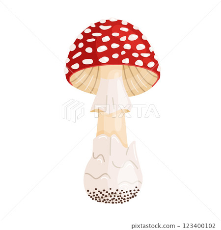 Fly agaric mushroom. Hand drawn trendy flat style Poisonous toadstool Amanita Muscaria 123400102