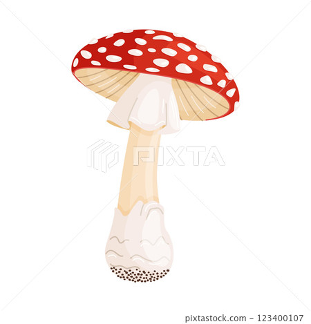Fly agaric mushroom. Hand drawn trendy flat style Poisonous toadstool Amanita Muscaria Fly agaric mushroom. Hand drawn trendy flat style Poisonous toadstool Amanita Muscaria 123400107