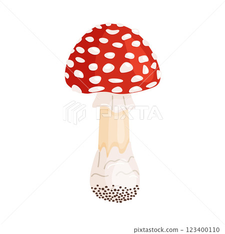 Fly agaric mushroom. Hand drawn trendy flat style Poisonous toadstool Amanita Muscaria 123400110