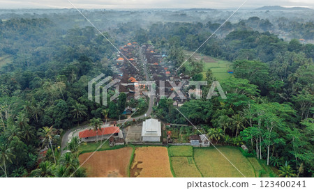 Aerial view of balinese village. Tropical landscape in Bali island nearby Tibumana waterfall. Aerial view of balinese village. Tropical landscape in Bali island nearby Tibumana waterfall. 123400241