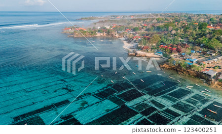 Seaweed farm at Lembongan in Indonesia with morning light and coastal landscape. Aerial view Seaweed farm at Lembongan in Indonesia with morning light and coastal landscape. Aerial view 123400251