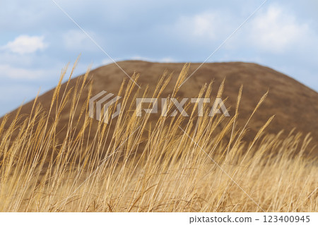 Yonezuka Shimoen Park in winter, covered in dead grass 123400945