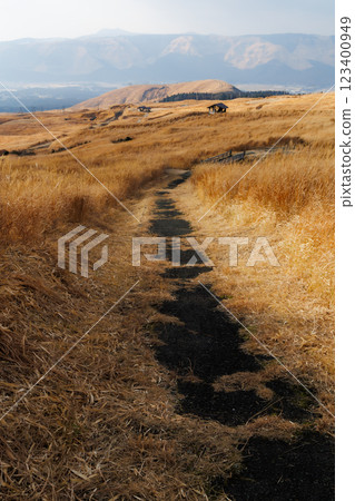 Yonezuka Shimoen Park in winter, covered in dead grass 123400949