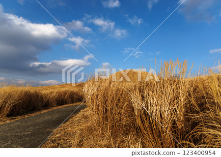 Yonezuka Shimoen Park in winter, covered in dead grass Yonezuka Shimoen Park in winter, covered in dead grass 123400954