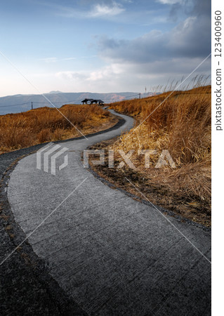 冬天的米塚下園公園,枯草覆蓋 冬天的米塚下園公園,枯草覆蓋 123400960
