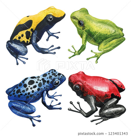 Set exotic colorful poison dart frogs, tree frogs watercolor illustration isolated. Tropical wildlife amphibians clipart Set exotic colorful poison dart frogs, tree frogs watercolor illustration isolated. Tropical wildlife amphibians clipart 123401343