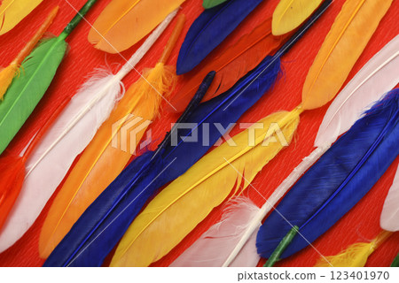 Colorful feathers on a red background. Decorative feathers. Colorful feathers on a red background. Decorative feathers. 123401970